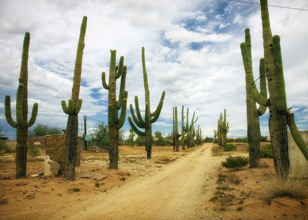 #1. Arizona